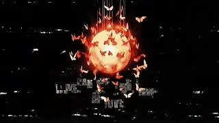 Deflexity - Moth Cemetary (LYRIC VIDEO)