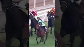 1 ROMANTIC WARRIOR   J McDonald #JMcDonald #JamesMcDonald #McDonald #Racing #Sport #Shorts #賽馬短片