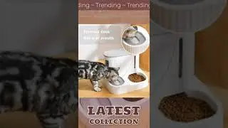 Automatic Feeder Bowl