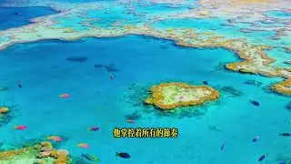 醫院VIP病房的秘密：帥氣主治醫生竟要求我用身體支付母親高昂的醫療費用！