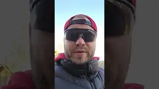 Быстрый завтрак для собаки