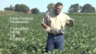 Soybean Foliar Leaf Burn_2015 PA On-Farm Network