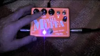 Small Muffa
