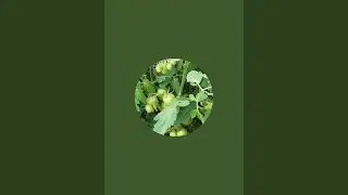Dhamdhere Agro solutions.1 is live agriculture onion viralvideo trendingshorts