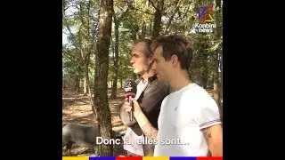 L'éleveur qui abattait lui-même ses animaux