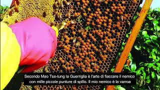 LAVORI DEL MESE: MAGGIO (A CURA DI ANDREA RAFFINETTI)