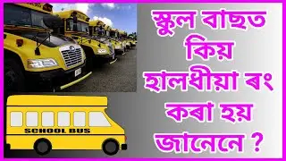 Assamese facts video | Facts video assamese | Facts video | Gk assam | Assamese gk | Assamese video
