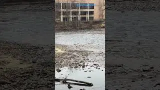 Multi-Speed Stream