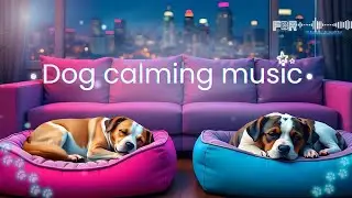 12 Hours of Dog Relaxation & Deep Separation Anxiety Music |  FBR &mdash; Royalty Free Music