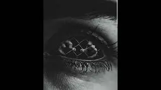 ” CAGED BIRD ”  MELODY X TRAP BEAT 