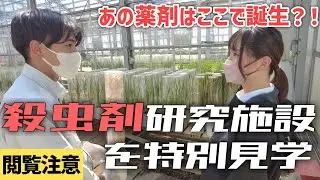 あの殺虫剤はここで誕生！日産化学の研究所見学！ 殺虫剤編
