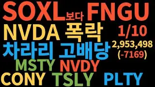 SOXL 보다는 FNGU/NVDA 폭락!/차라리 고배당주/ MSTY/MVDY/CONY/TSLY/PLTY/#FNGU#SOXL#