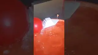 🎈Balloon Boat ⛴️  | Let's a Race🏁 #science #shorts