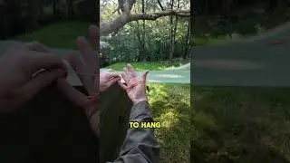 The Best Knot For You Guylines- How To