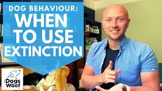 Dog Behaviour: The Art of Extinction