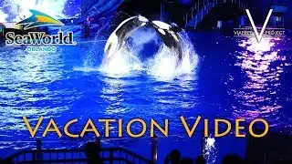 SeaWorld Orlando Experience