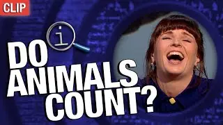QI | Do Animals Count?