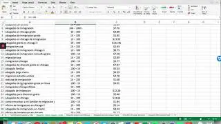 Immigration Law Marketing Strategy - Google Keyword Data