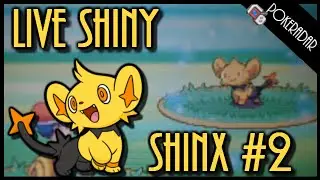 LIVE!! Shiny SHINX #2 + SHINY PATCH at chain 41!!