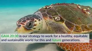 GAIA 20:30 - Together, we can change the world!