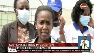 Youth have been encouraged to participate in farming as a form of employment.