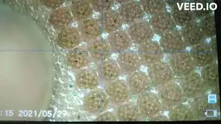 Advanced Battery Material Matrix's