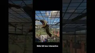 Egyptian Fruit Bats Walkthrough Exhibit - Planet Zoo