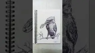 03 sketchbook tour #animals #artworks #sketch #pens #artist #preranakothari #maroon5 #xmas #winter