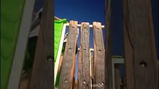 Un d&iacute;a de paseo por la alameda zaragoza Torre&oacute;n Coahuila 