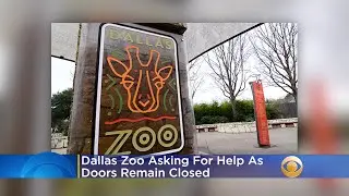 Dallas Zoo Asking For Help As Doors Remain Closed During Coronavirus Pandemic