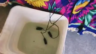 Rel&ecirc; de n&iacute;vel inferior pivolt