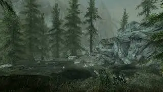 Pinewatch Mudcrab Pond (Skyrim) - Serene Scene (1 Hour)