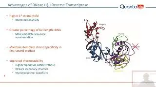Crossing the limits of cDNA synthesis - Quantabio Webinar 2024
