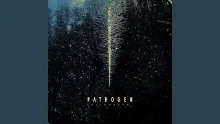 Pathmaker