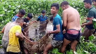 Traditional Fishing Village Pond | Amazing Fish Catching Process | Popular Fishing Trap.Part-1.