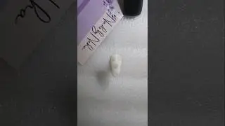 White Nail Art with Matte Top Coat | DIY Tutorial #dailynails