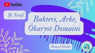 6) 9. SINIF BİYOLOJİ - ARKE / BAKTERİ / ÖKARYOT DOMAİNİ