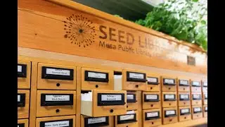 Seed Library at Mesa Public Library with Fox 10 Phoenix