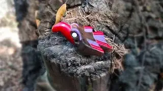 Aprende a hacer el sonido del águila y otras aves con un Silbato de Aguila sencillo.