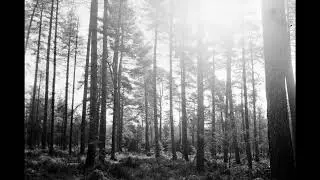 fathom - atmospheric/melodic black metal instrumental [free]