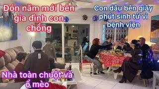 Đ&oacute;n giao thừa b&ecirc;n gia đ&igrave;nh con chồng v&agrave; bạn/nh&agrave; to&agrave;n chuột 1 ổ m&egrave;o/con d&acirc;u b&ecirc;n giờ ph&uacute;t sinh tử