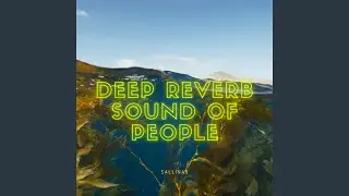 Deep Golden Reverberator