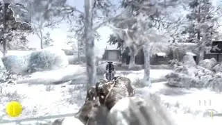 flawless 1 in the chamber