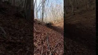 Offroad