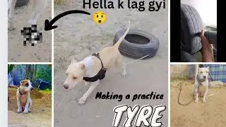 Hella k chote lag gyi practice karate time 😲