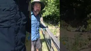 Brian talking about plants