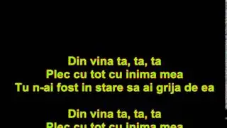 Alex Velea-Din vina ta (versuri\lyrics)