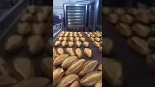Auto Baking System