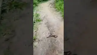 BMSL Homevisit  Pangpalui