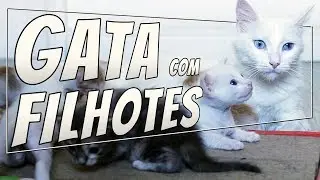 A Gata está GRÁVIDA e AGORA?
